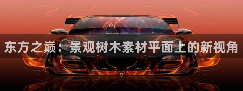 卧龙凤雏娱乐解说