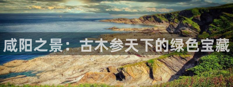 卧龙区夜晚娱乐