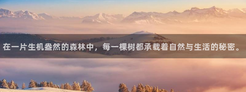 卧龙凤雏娱乐资讯