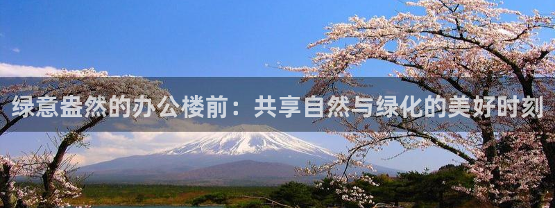 卧龙娱乐总管是谁呀