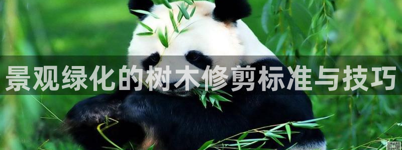 卧龙娱乐怎么样