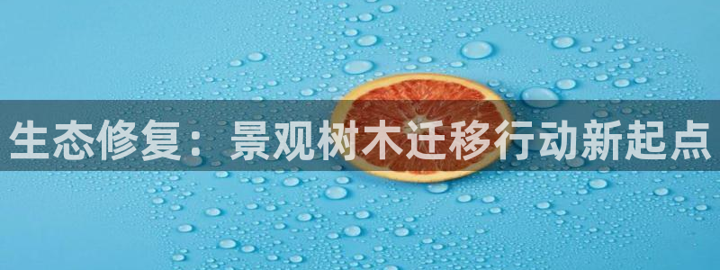 娱乐资讯君卧龙