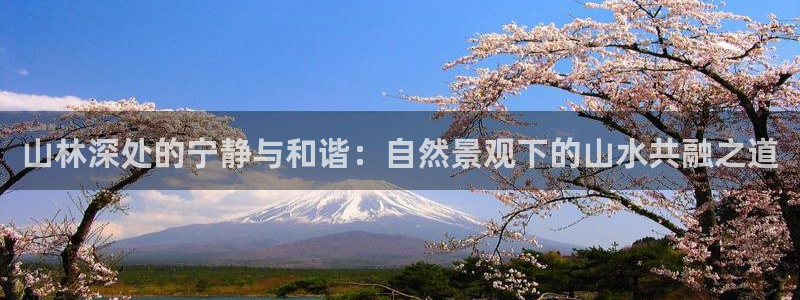 卧龙娱乐若七九九