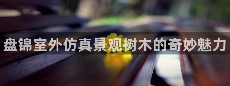 柏林娱乐 柏林卧龙 0