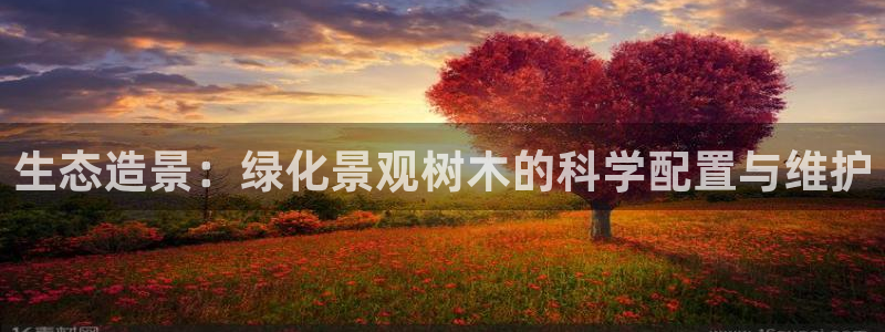 卧龙区夜晚娱乐