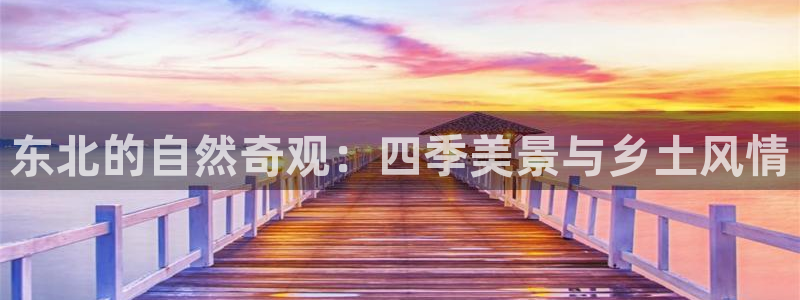 卧龙娱乐app彩票