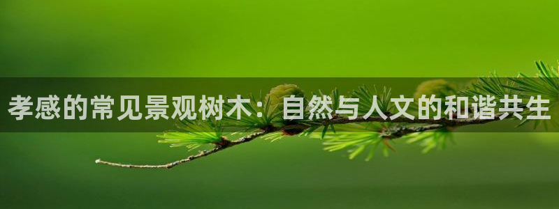 卧龙娱乐app彩票计划