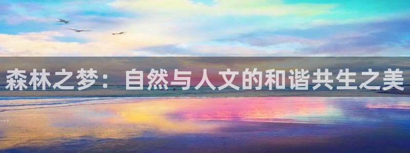 卧龙凤雏娱乐资讯:森林之梦:自然与人文的和谐共生之美