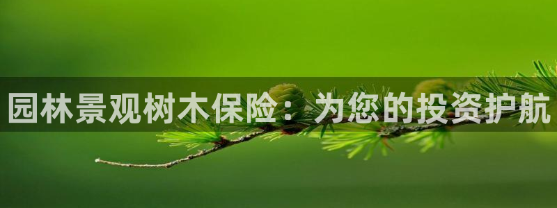 卧龙娱乐主管招聘信息