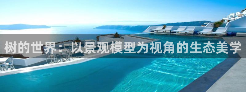 卧龙娱乐老板是谁呀图片