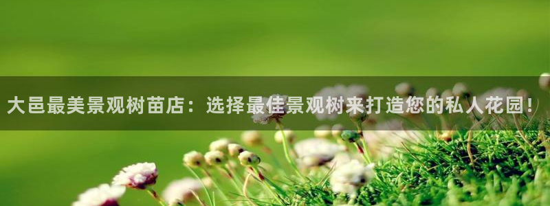 BA娱乐卧龙主管60447