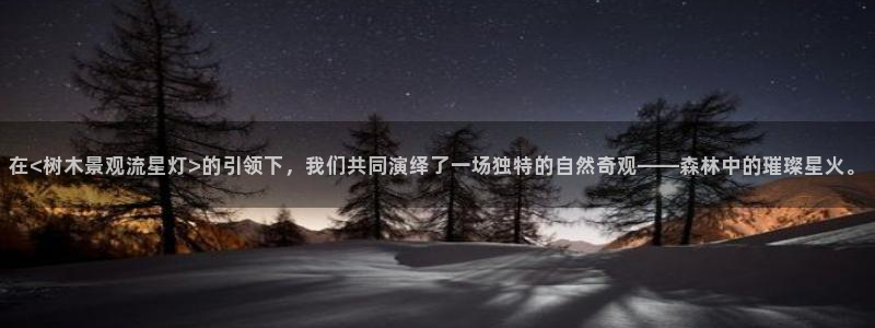卧龙传统娱乐团购:在<树木景观流星灯>的引领下,我们共同演绎了一场独特的自然奇观——森林中的璀璨星火
